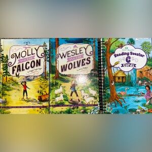 Reading booster C cards and book set good and the beautiful